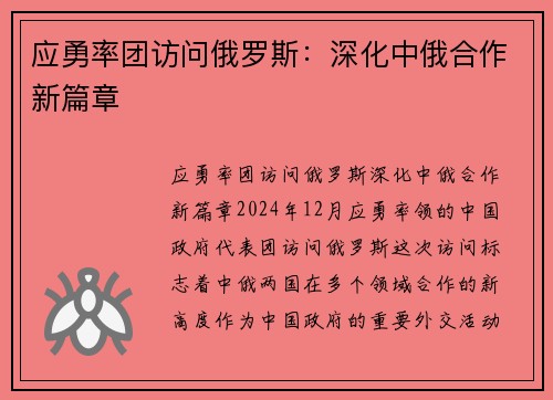 应勇率团访问俄罗斯：深化中俄合作新篇章